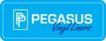Pegasus Products, Inc. Pegasus Products, Inc.